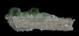 Sea Green, Fluorite on Quartz - China #32492-3